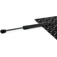 RIDEX 219G1495 Gasveer achterklep