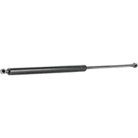 RIDEX 219G0410 Gasveer achterklep