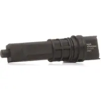 Delphi SS11313 Sensor, snelheid