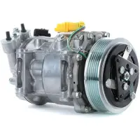 RIDEX 447K0228 Aircopomp