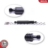 ESEN SKV 52SKV807 Gasveer achterklep