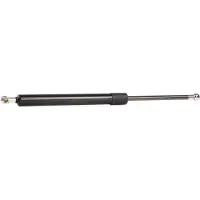 RIDEX 219G0530 Gasveer achterklep