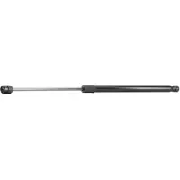 RIDEX 219G0389 Gasveer achterklep