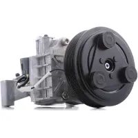 RIDEX 447K0161 Aircopomp