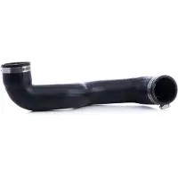 RIDEX 3314C0256 Laadluchtslang