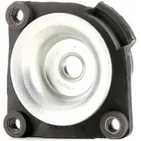 RIDEX 1180S0075 Veerpootlager