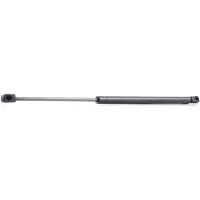 RIDEX 219G0109 Gasveer achterklep