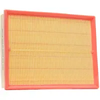 RIDEX 8A0029P Luchtfilter