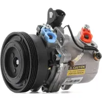 RIDEX 447K0290R Aircopomp