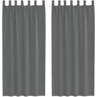 vidaXL Gordijnen voile met lussen 2 st 140x245 cm donkergrijs