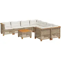 vidaXL 9-delige Loungeset met kussens poly rattan beige