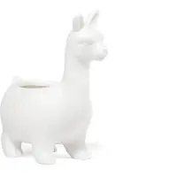 Kikkerland Lloyrd The Lama Planter