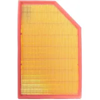 RIDEX 8A0170 Luchtfilter
