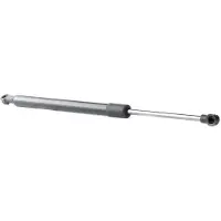 RIDEX 219G0950 Gasveer achterklep