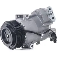 RIDEX 447K0293 Aircopomp