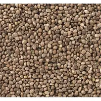 Beyers Hennepzaad - Kempzaad - 800 gram