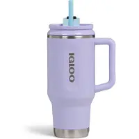 Igloo - Flip ‘n’ Sip - Drinkbeker met rietje - Lila - 0,946L - Thermosfles - RVS - Drinkbeker voor School