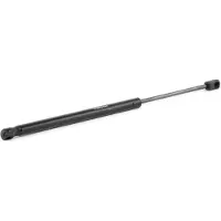 RIDEX 514G0089 Gasveer motorkap