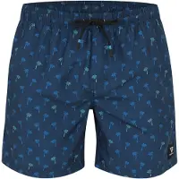 Brunotti Boardshorts 'Cester' | L | male