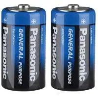 Panasonic | D2 Batterijen | 2 Stuks in verpakking | R20 1.5V