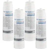 BWT Besttaste S / Besttaste 15 Waterfilterpatroon FS22A10A00
