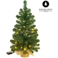 Excellent Trees Mini kerstboom  led jarbo 75 cm met verlichting luxe