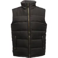 Regatta Heren Standout Altoona Geïsoleerd Bodywarmer Jasje (Zwart)