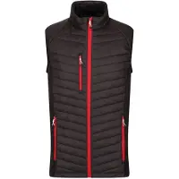 Regatta Professional Heren Gewatteerd Hybride Gilet (Zwart/Klassiek Rood)