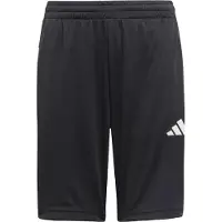Adidas Sportbroek 'Essentials' zwart / wit