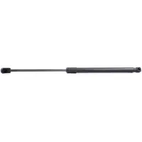 RIDEX 219G0143 Gasveer achterklep