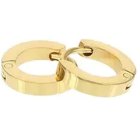 Kalli edelstalen Oorbel shiny 1898 Goud 10mm