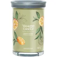 Yankee candle - Sage & Citrus Large Tumbler Geurkaars - 100 branduren - twee lonten