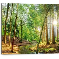 Praxis Schilderij Lentebos Deco Panel 50 X 40 Cm
