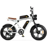 ENGWE M20 (26Ah) Elektrische Fatbike - Dubbele Accu - 20 Inch - 250W Motor - 7 Versnellingen - 150 km Actieradius - Mechanische Schijfremmen - Wit