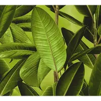 AS-Creation Vliesbehang 36201-1 Neue Bude 2.0 natuur bruin