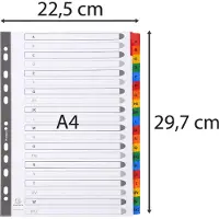Exacompta Tabbladen karton 160g - versterkte gekleurde tabs + inbdexblad - 20 tabs - A tot Z - A4 - Wit - 1111E