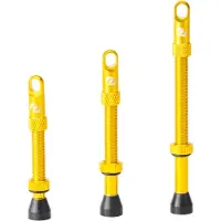 Syncros Paar Presta Gold Tubeless ventielen