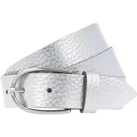 Vanzetti Riem zilver