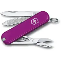 Victorinox Classic SD zakmes - Tasty Grape - 7 functies - RVS