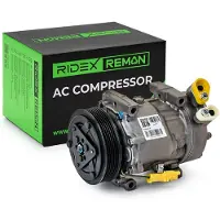 RIDEX 447K0057R Aircopomp