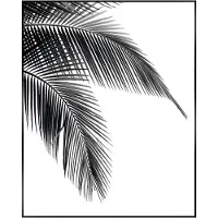 Reinders! Schilderij Palm - 40x50 Cm - Zwart-wit - Hout