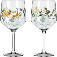 Ritzenhoff Gin & Tonicglas Botanic Glamour #3 #4 720 ml (Set van 2)