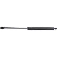 RIDEX 219G0372 Gasveer achterklep