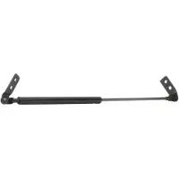 RIDEX 219G0171 Gasveer achterklep