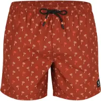Brunotti Boardshorts 'Cester-Mini' | XXL | male