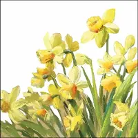 Ambiente - Lunch servetten - Golden Daffodils