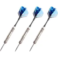 Eddy Toys Dartpijlen - 12x stuks - in opberg etui - 24 grams - darten pijltjes