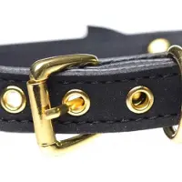 Master Series Golden Kitty Collar Met Kattenbelletje - Zwart/Goud