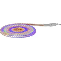 Star Trading Kleurrijke lichtbuis 'Platte SMD LED', plat, 480 LED's, netvoeding, buiten, 5 meter