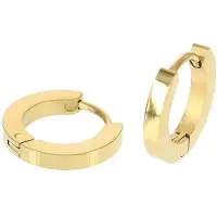 Kalli edelstalen Oorbel 1813 Goud 13mm